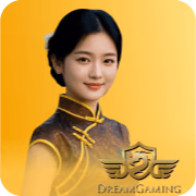 custom_VND-2